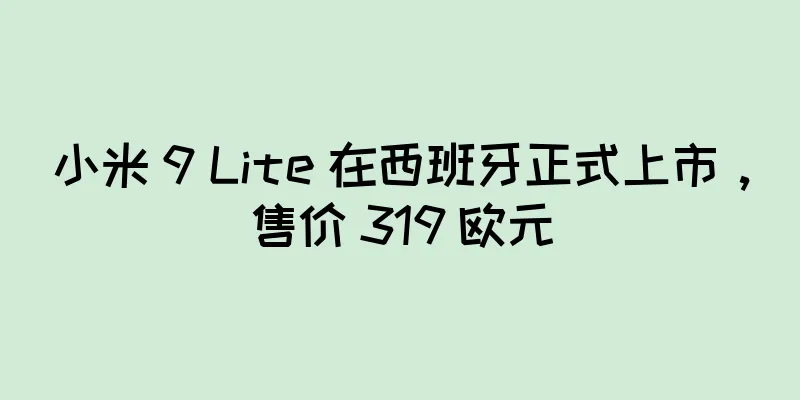 小米 9 Lite 在西班牙正式上市，售价 319 欧元