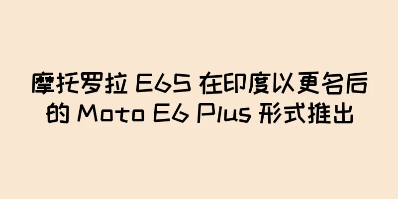 摩托罗拉 E6S 在印度以更名后的 Moto E6 Plus 形式推出