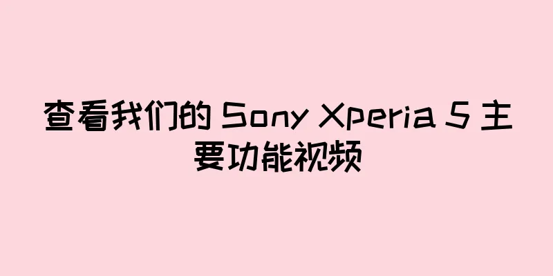 查看我们的 Sony Xperia 5 主要功能视频