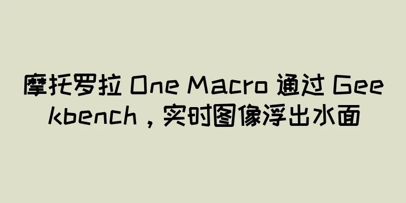 摩托罗拉 One Macro 通过 Geekbench，实时图像浮出水面