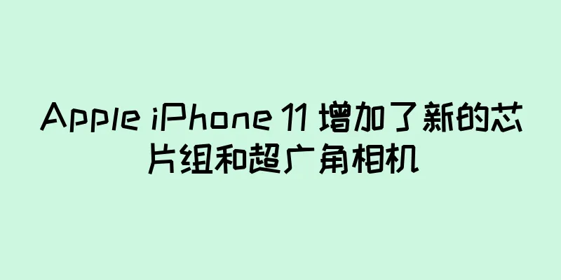 Apple iPhone 11 增加了新的芯片组和超广角相机