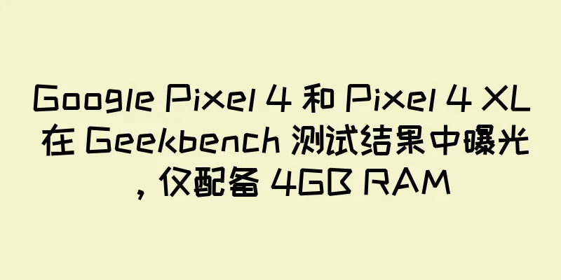 Google Pixel 4 和 Pixel 4 XL 在 Geekbench 测试结果中曝光，仅配备 4GB RAM