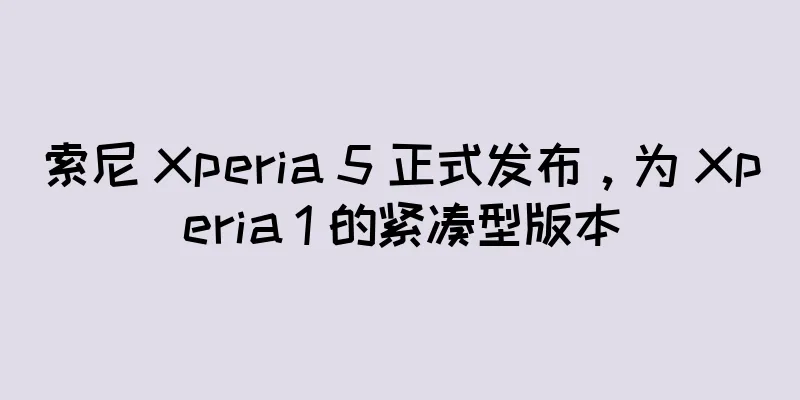 索尼 Xperia 5 正式发布，为 Xperia 1 的紧凑型版本