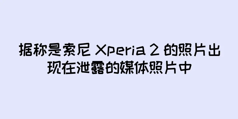 据称是索尼 Xperia 2 的照片出现在泄露的媒体照片中