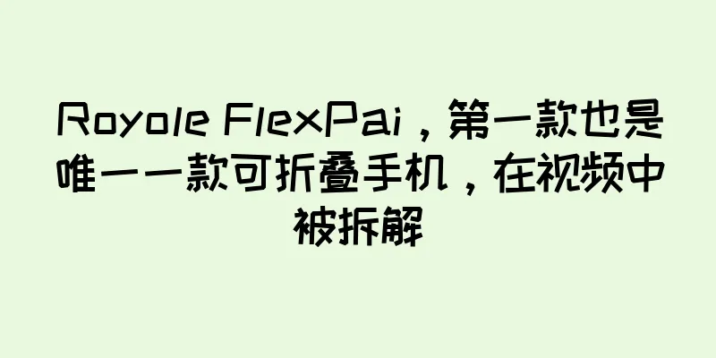 Royole FlexPai，第一款也是唯一一款可折叠手机，在视频中被拆解
