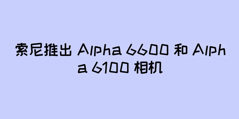 索尼推出 Alpha 6600 和 Alpha 6100 相机