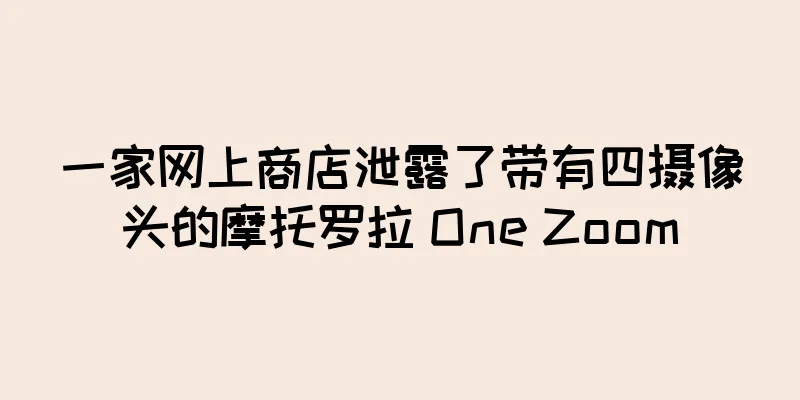 一家网上商店泄露了带有四摄像头的摩托罗拉 One Zoom