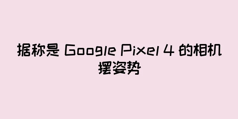 据称是 Google Pixel 4 的相机摆姿势