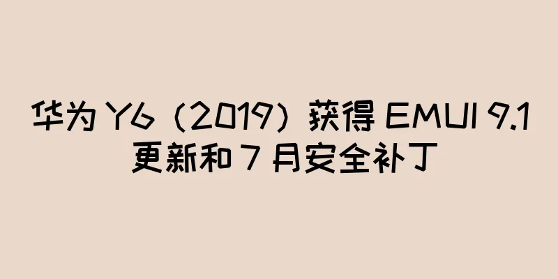 华为 Y6（2019）获得 EMUI 9.1 更新和 7 月安全补丁