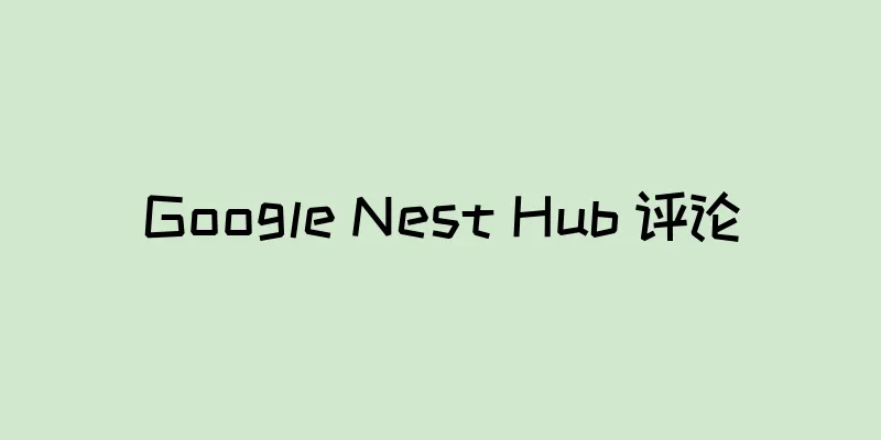 Google Nest Hub 评论