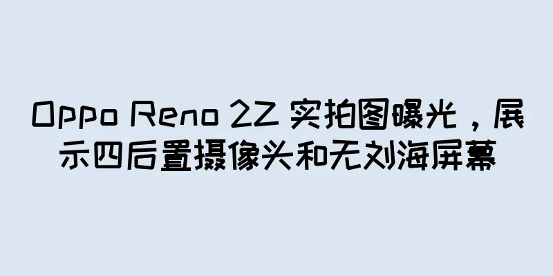 Oppo Reno 2Z 实拍图曝光，展示四后置摄像头和无刘海屏幕