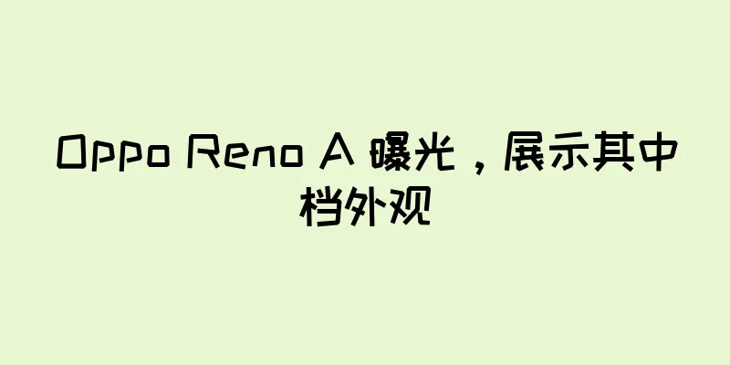 Oppo Reno A 曝光，展示其中档外观