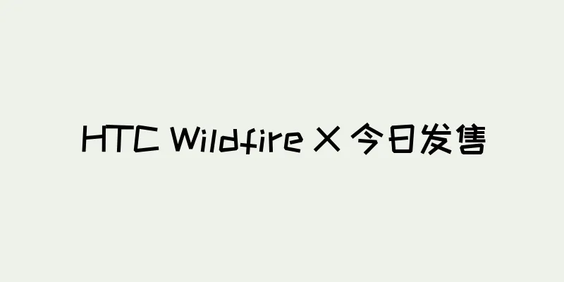 HTC Wildfire X 今日发售