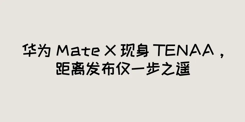 华为 Mate X 现身 TENAA，距离发布仅一步之遥