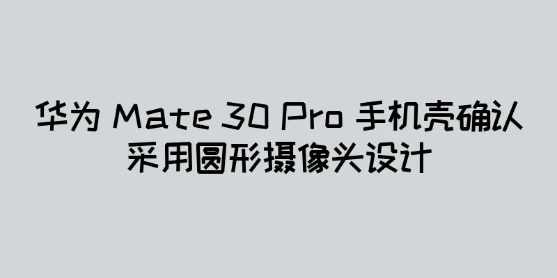 华为 Mate 30 Pro 手机壳确认采用圆形摄像头设计