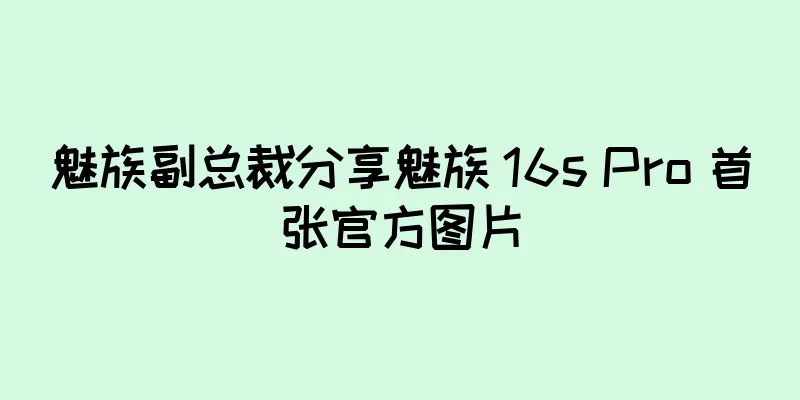 魅族副总裁分享魅族 16s Pro 首张官方图片