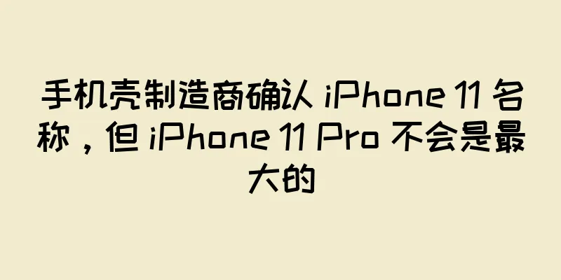 手机壳制造商确认 iPhone 11 名称，但 iPhone 11 Pro 不会是最大的