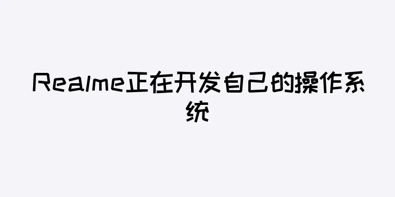 Realme正在开发自己的操作系统