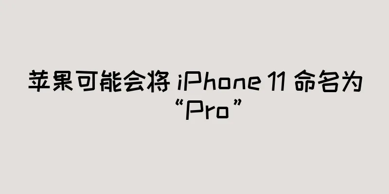 苹果可能会将 iPhone 11 命名为“Pro”
