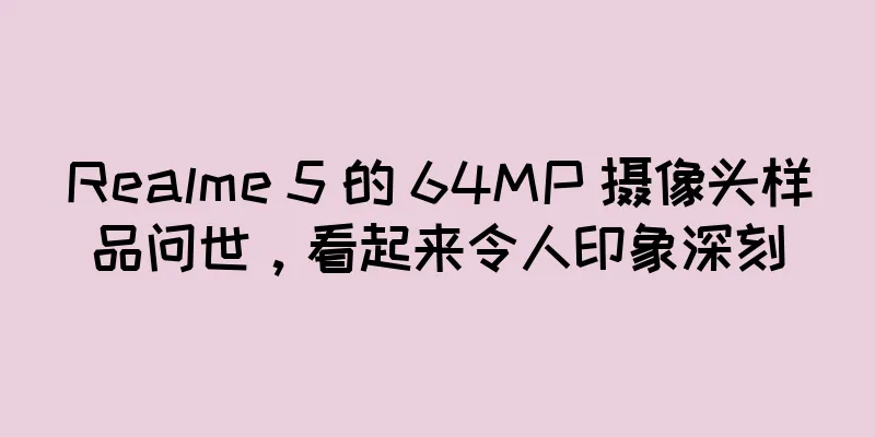 Realme 5 的 64MP 摄像头样品问世，看起来令人印象深刻