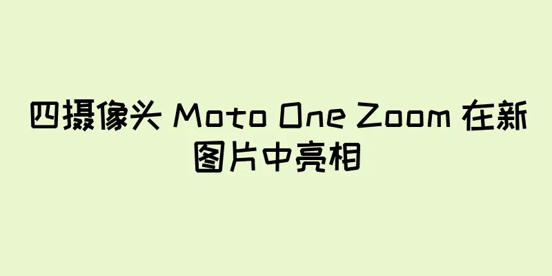 四摄像头 Moto One Zoom 在新图片中亮相