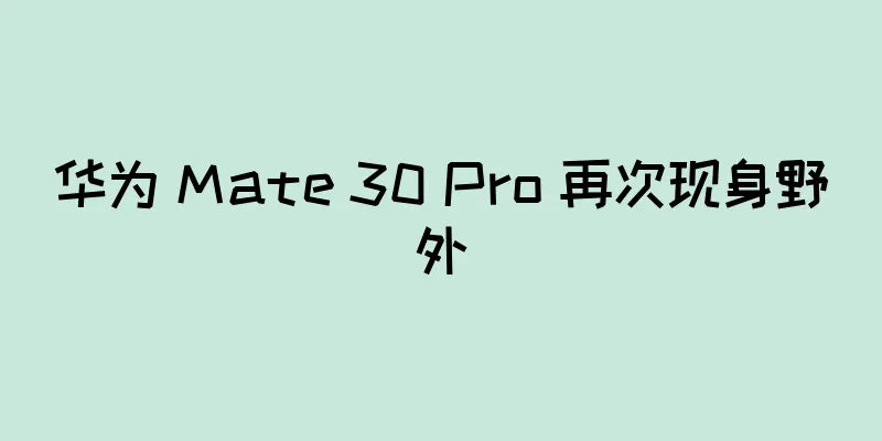 华为 Mate 30 Pro 再次现身野外