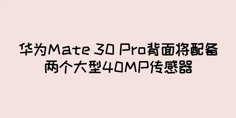华为Mate 30 Pro背面将配备两个大型40MP传感器