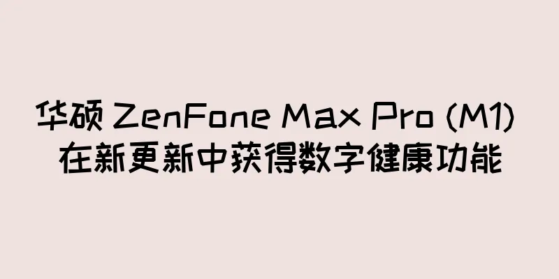 华硕 ZenFone Max Pro (M1) 在新更新中获得数字健康功能