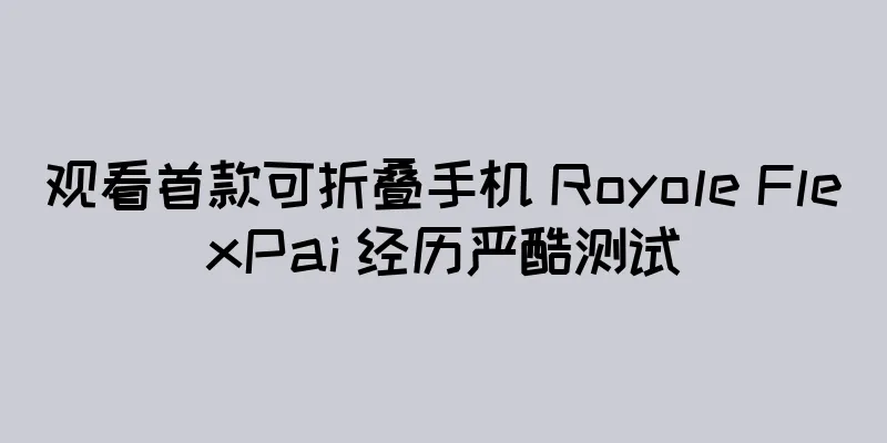 观看首款可折叠手机 Royole FlexPai 经历严酷测试