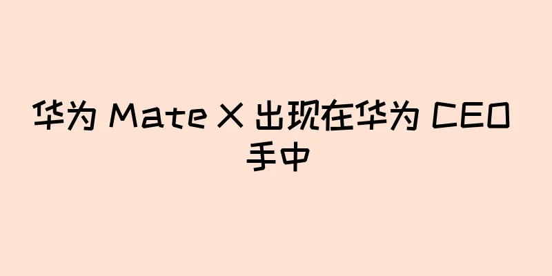 华为 Mate X 出现在华为 CEO 手中