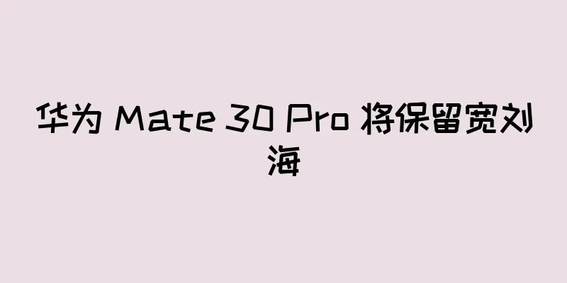 华为 Mate 30 Pro 将保留宽刘海