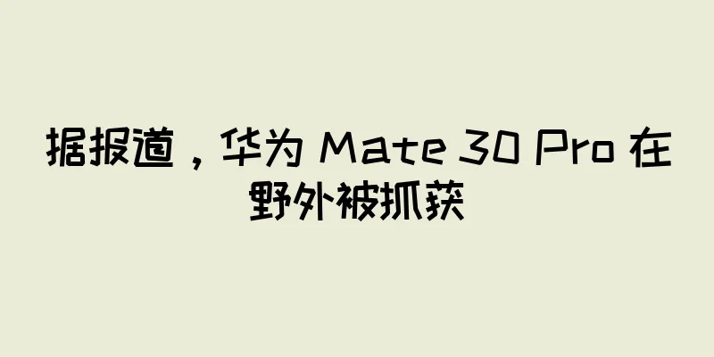 据报道，华为 Mate 30 Pro 在野外被抓获