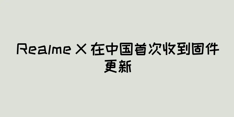Realme X 在中国首次收到固件更新