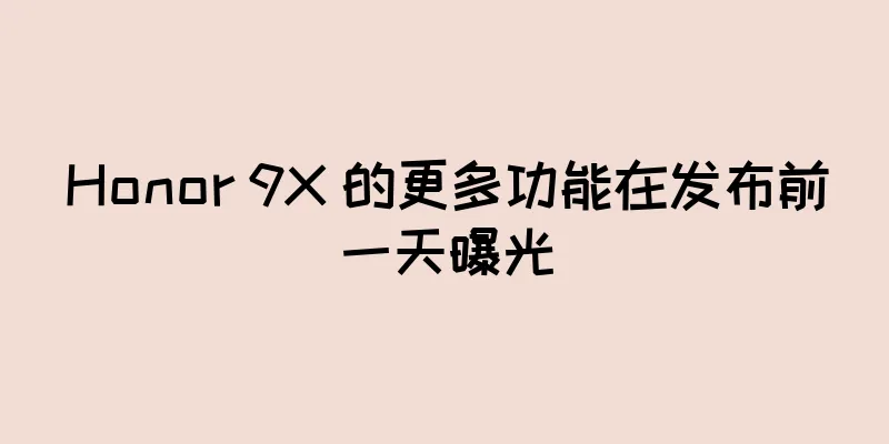 Honor 9X 的更多功能在发布前一天曝光