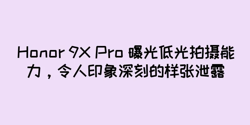 Honor 9X Pro 曝光低光拍摄能力，令人印象深刻的样张泄露