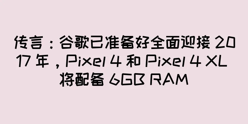 传言：谷歌已准备好全面迎接 2017 年，Pixel 4 和 Pixel 4 XL 将配备 6GB RAM