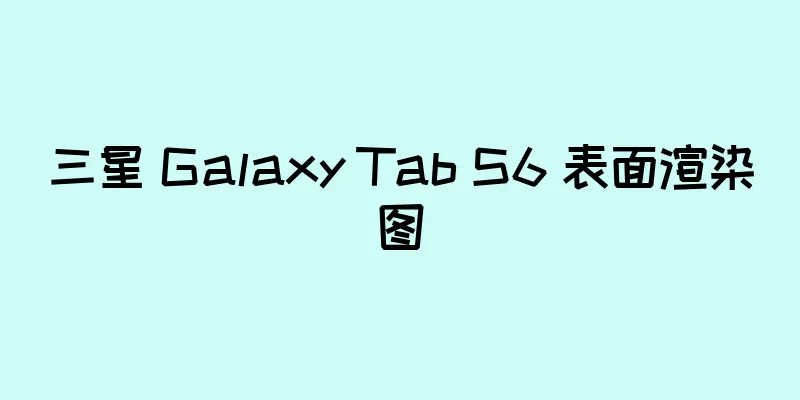 三星 Galaxy Tab S6 表面渲染图