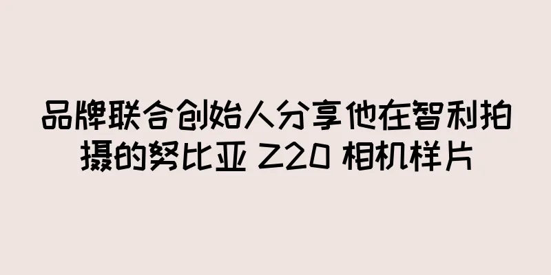 品牌联合创始人分享他在智利拍摄的努比亚 Z20 相机样片