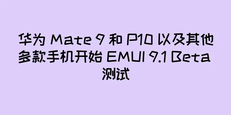 华为 Mate 9 和 P10 以及其他多款手机开始 EMUI 9.1 Beta 测试