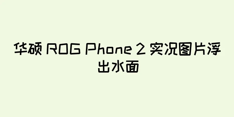 华硕 ROG Phone 2 实况图片浮出水面