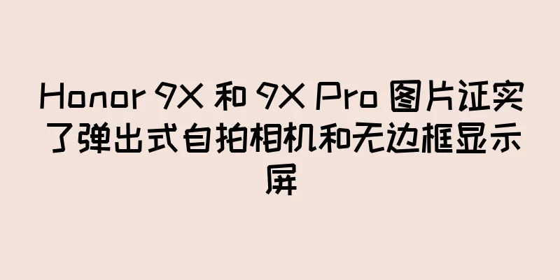 Honor 9X 和 9X Pro 图片证实了弹出式自拍相机和无边框显示屏