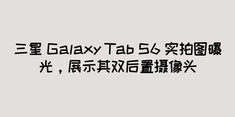 三星 Galaxy Tab S6 实拍图曝光，展示其双后置摄像头