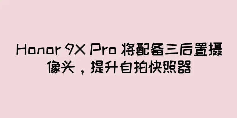 Honor 9X Pro 将配备三后置摄像头，提升自拍快照器