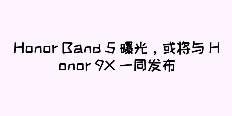 Honor Band 5 曝光，或将与 Honor 9X 一同发布