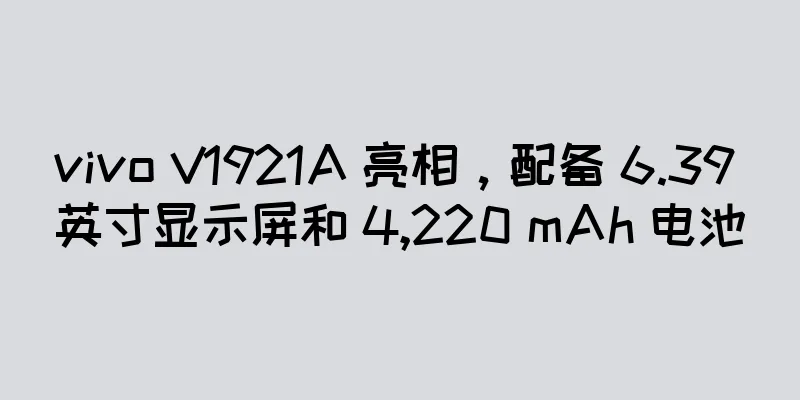 vivo V1921A 亮相，配备 6.39 英寸显示屏和 4,220 mAh 电池