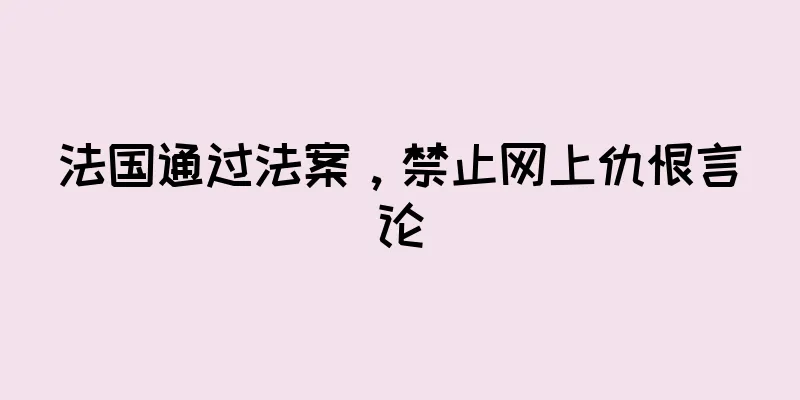 法国通过法案，禁止网上仇恨言论