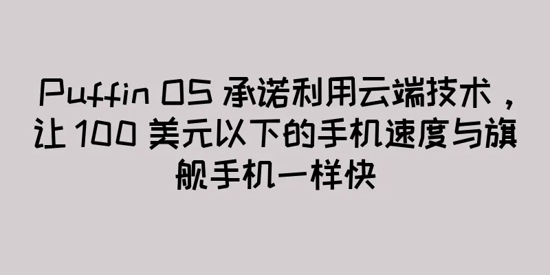 Puffin OS 承诺利用云端技术，让 100 美元以下的手机速度与旗舰手机一样快