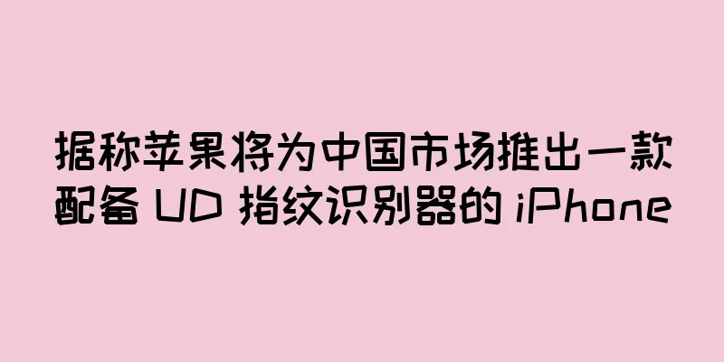 据称苹果将为中国市场推出一款配备 UD 指纹识别器的 iPhone
