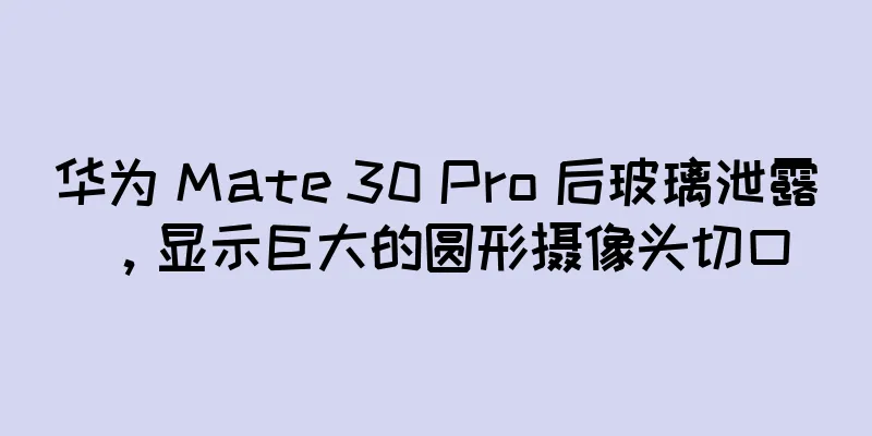 华为 Mate 30 Pro 后玻璃泄露，显示巨大的圆形摄像头切口