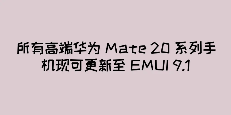 所有高端华为 Mate 20 系列手机现可更新至 EMUI 9.1